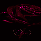 Red Love Rose LWP biểu tượng