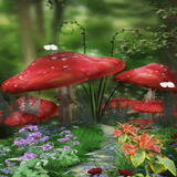 Red Mushroom Live Wallpaper ไอคอน