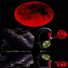 Red Rose Swan LWP أيقونة