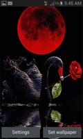 Red Rose Swan LWP Affiche