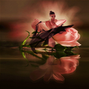 Rose Girl Live Wallpaper APK