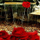 Rose Waterfall Live Wallpaper icône