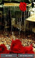 Rose Waterfall Live Wallpaper Cartaz