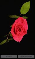 Rose With Leafs LWP ポスター