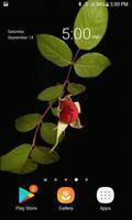 Rose With Leafs LWP スクリーンショット 2