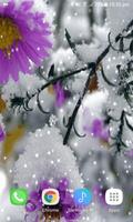Snowy Purple Flower LWP capture d'écran 1