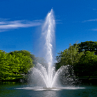 Strange Fountain LWP icon