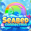 ”Seabed 2048 Connection