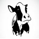 Dairy Milk Supply APK