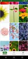 Flower Wallpaper اسکرین شاٹ 1