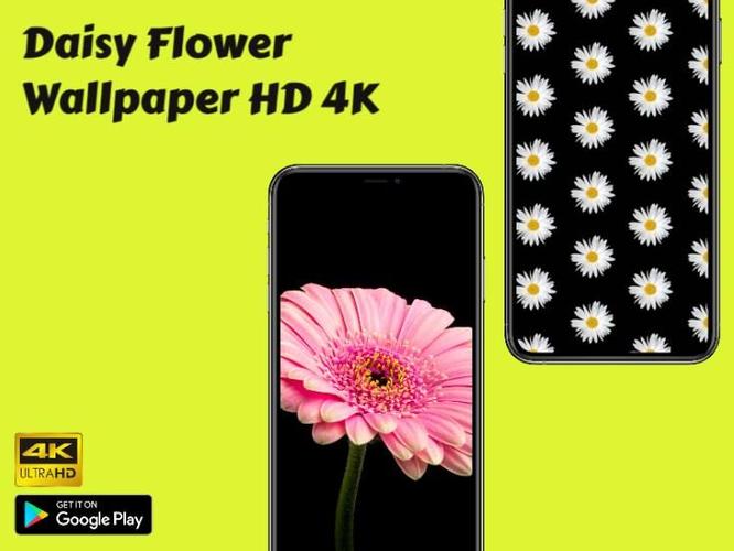 hd 4k apk