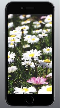 hd 4k apk