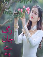 Raag e Jaan Hai Wo Urdu Novel Affiche