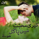 Teri Mohabbat Mein Pagal Howe Novel APK