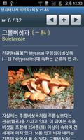 브리태니커 테마북-버섯 تصوير الشاشة 2