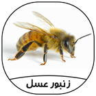 زندگی زنبور عسل icône