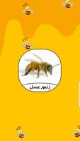 زندگی زنبور عسل Affiche