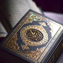 القرآن الكريم بأصوات عدة شيوخ APK