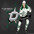 Dallas Stars Ice hockey 4K