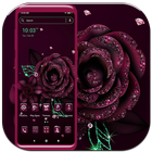 Giltter Rose Launcher Theme icône
