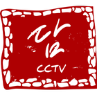 담CCTV icône
