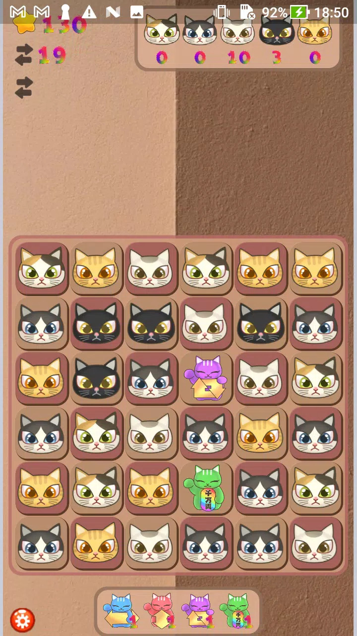 Cats Magic Cats Magic