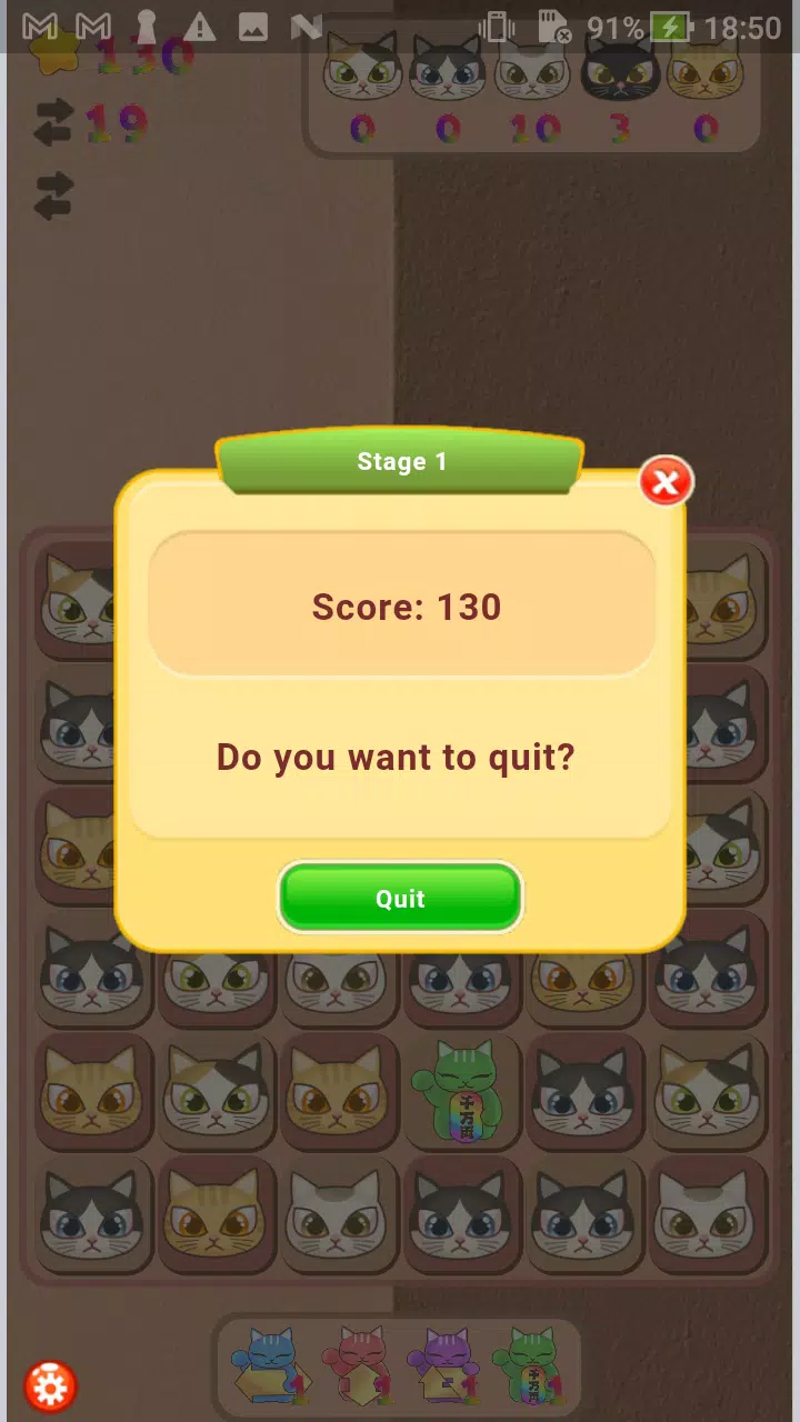Cats Magic Cats Magic