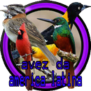 avez da america latina APK