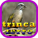 Trinca ferro completo APK