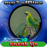 ”cucak ijo mp3 offline
