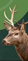 Hunter স্ক্রিনশট 3