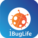 iBugLife APK
