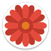 Safe Days APK