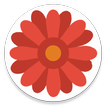 Safe Days icon
