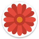 Safe Days APK