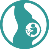 Pregnancy Wheel icône