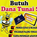 Dana Tunai - Pinjaman Guide APK
