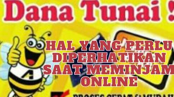 Dana Tunai - Pinjaman Guide Screenshot 2