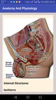 Anatomy and Physiology تصوير الشاشة 1