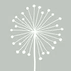 DandyLight