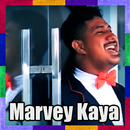 Lagu Ambon ~ Marvey Kaya APK