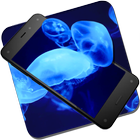 Neon Jellyfish Live Wallpaper icône