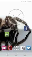 Spider in Phone Live Wallpaper 截图 1