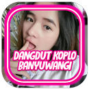 Dangdut Koplo Banyuwangi Terbaru Remix Offline APK