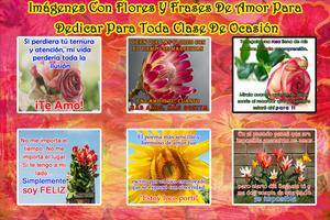 Flores Con Frases تصوير الشاشة 2