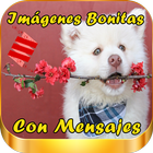 Imagenes Bonitas con Mensajes আইকন