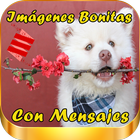 Imagenes Bonitas con Mensajes ไอคอน