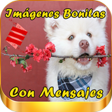 Imagenes Bonitas con Mensajes icône