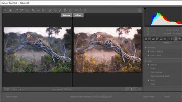 Adobe Photoshop :Photo Editor Collage Maker Guide capture d'écran 3