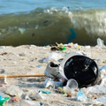 clean our oceans!